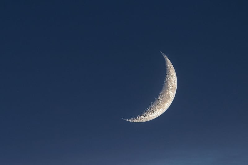 Moon Motifs
